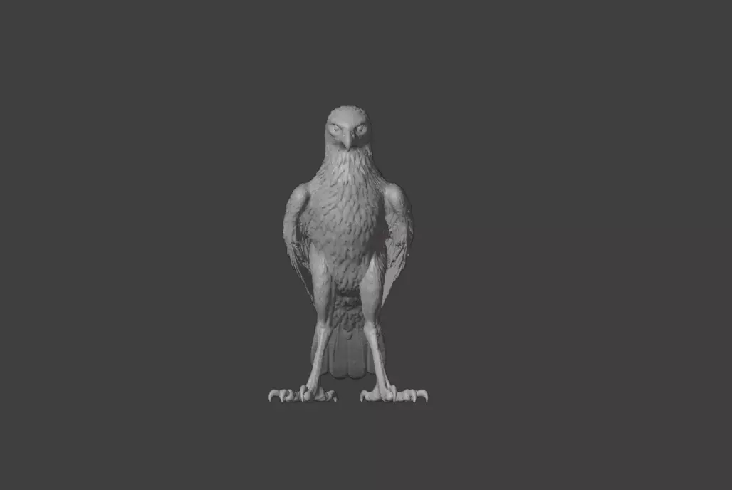 Majestic Hawk Low-poly 3D model_18