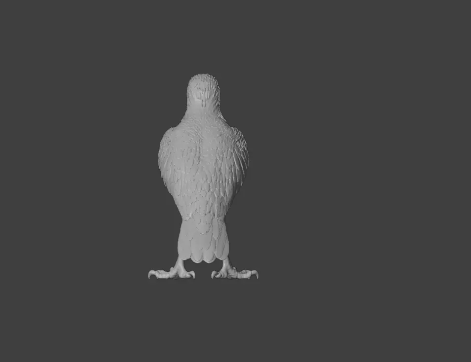 Majestic Hawk Low-poly 3D model_20