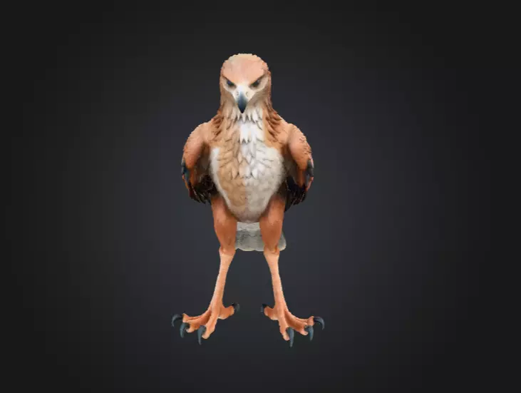 Majestic Hawk Low-poly 3D model_2