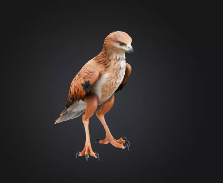Majestic Hawk Low-poly 3D model_3