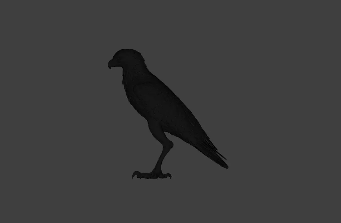 Majestic Hawk Low-poly 3D model_27