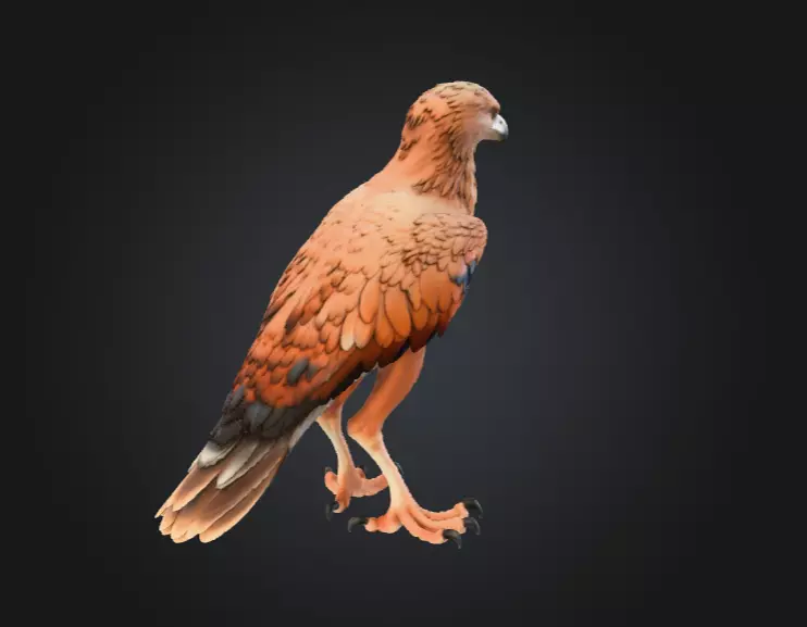 Majestic Hawk Low-poly 3D model_5