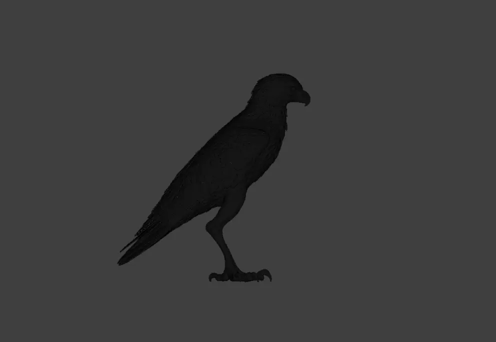 Majestic Hawk Low-poly 3D model_25