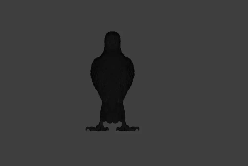 Majestic Hawk Low-poly 3D model_26