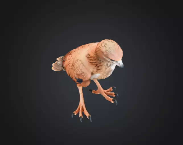 Majestic Hawk Low-poly 3D model_12