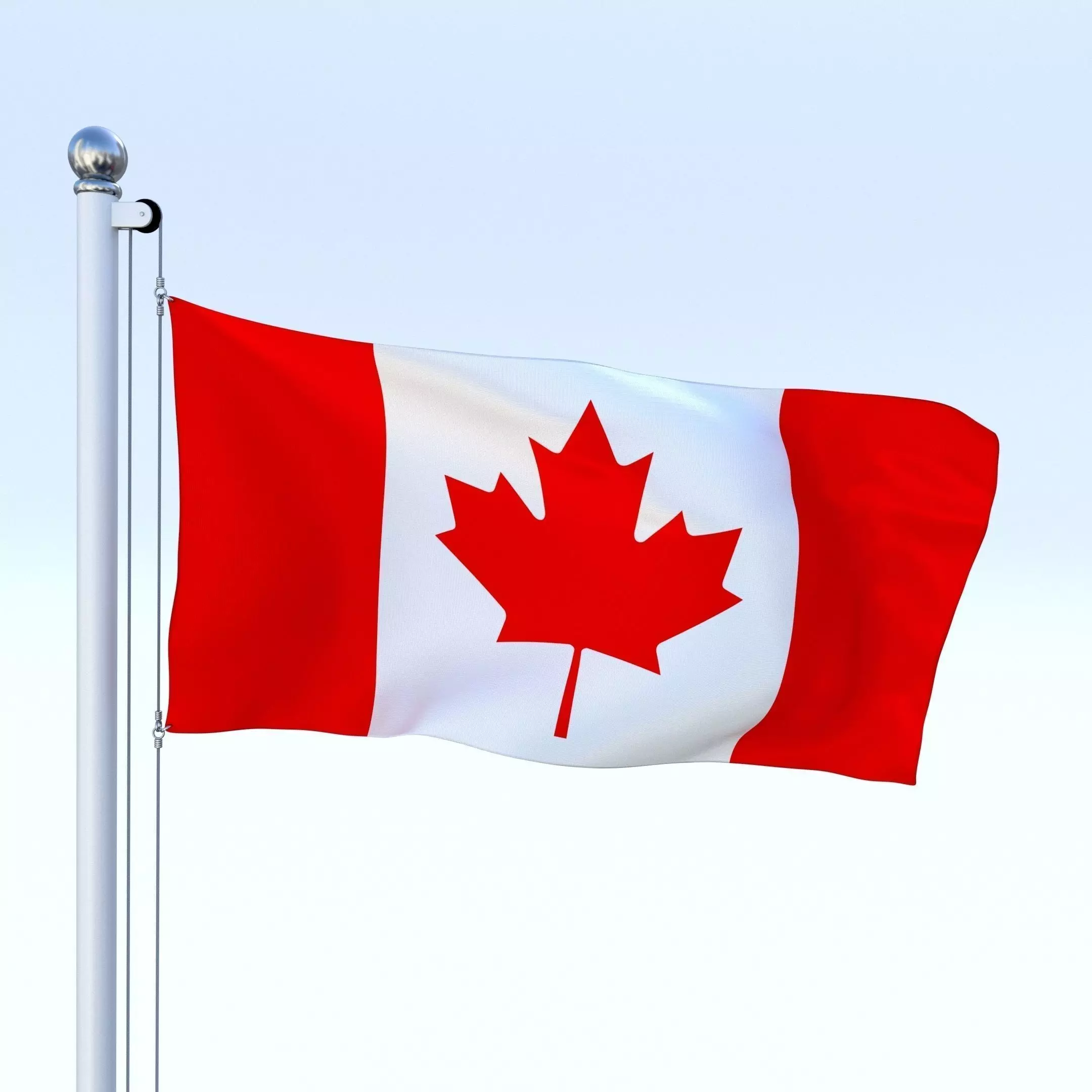 Animated Canadian Flag Low-poly 3D model_0