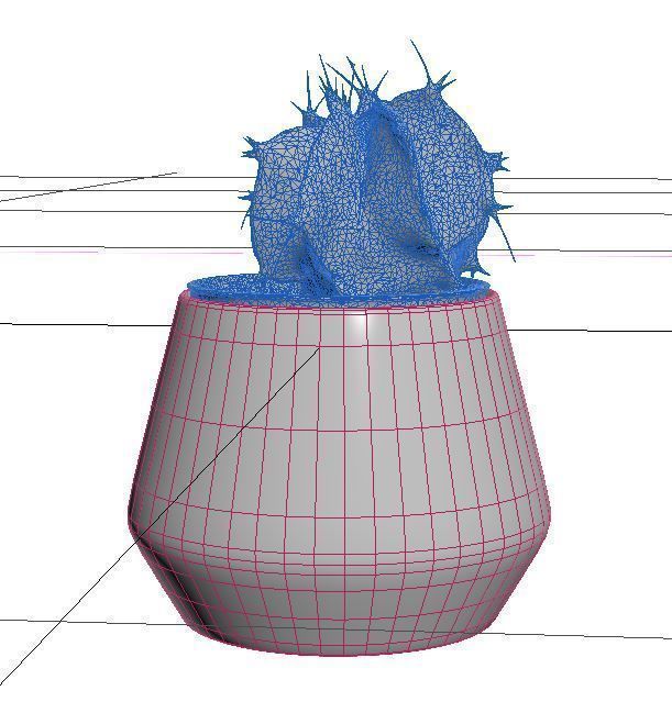 Cactus Decorative Vase 3D model_6