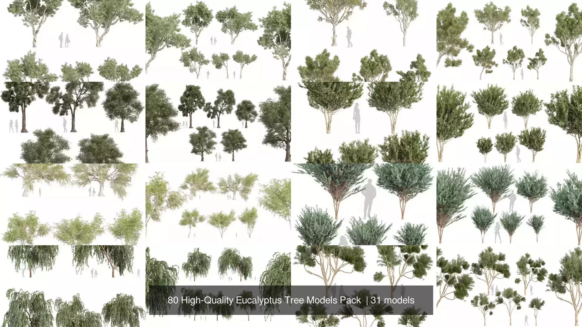 80 High-Quality Eucalyptus Tree Models Pack 3D Model Collection_1