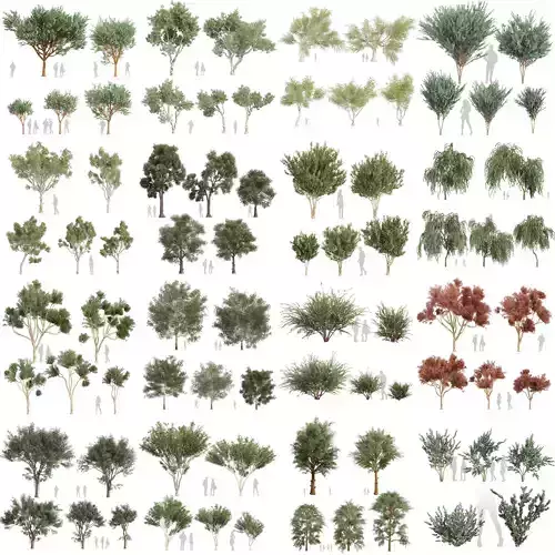 80 High-Quality Eucalyptus Tree Models Pack 