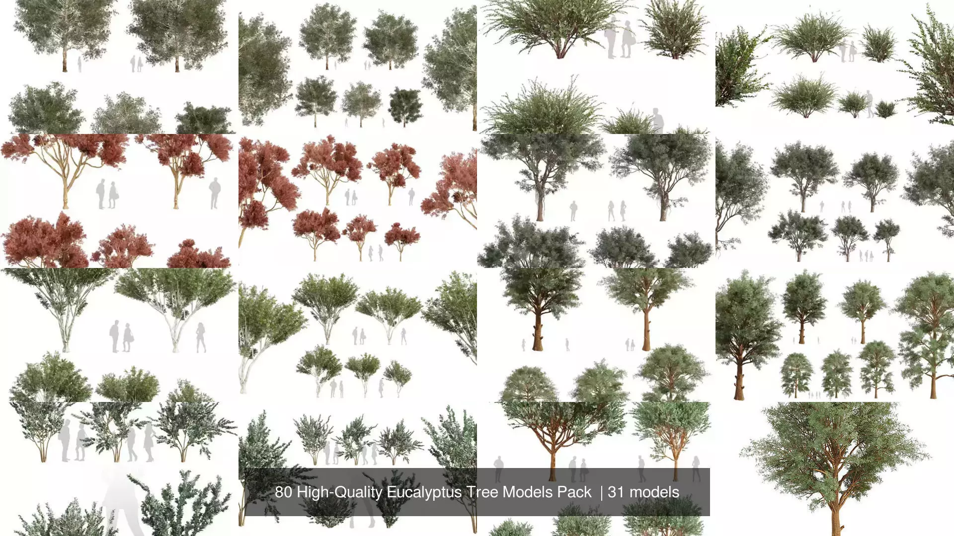 80 High-Quality Eucalyptus Tree Models Pack 3D Model Collection_4