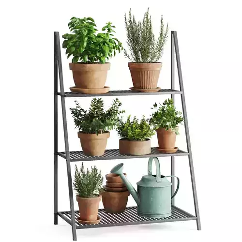 Herb Shelf with Terracotta Pots