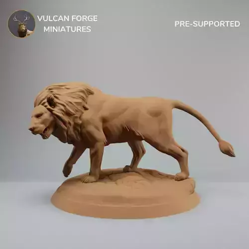 Lion walking  pre supported