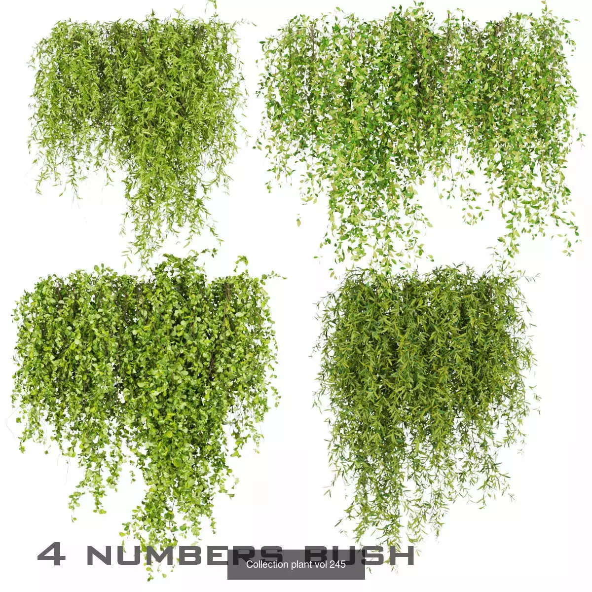 81 Asset Creeper Plants - Ivy Bundle 3D Model Collection_2