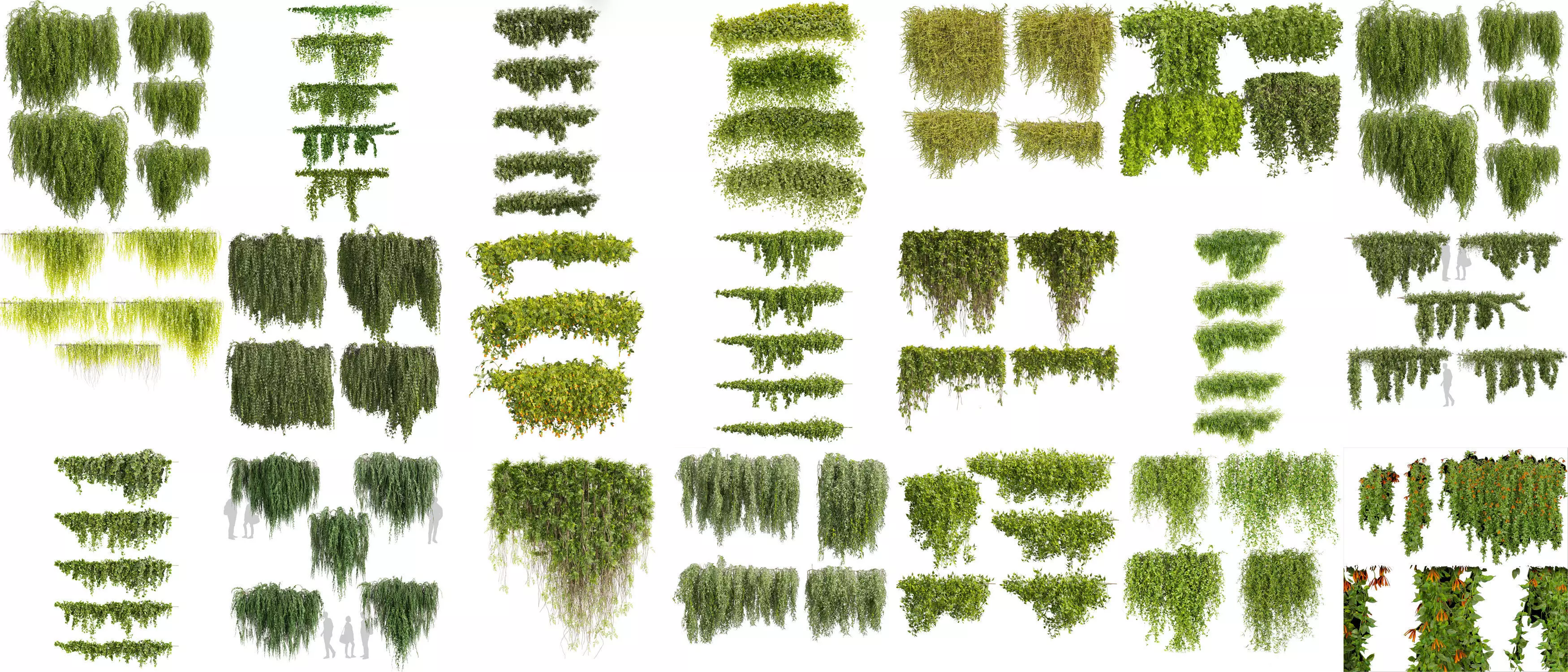 81 Asset Creeper Plants - Ivy Bundle 3D Model Collection_1