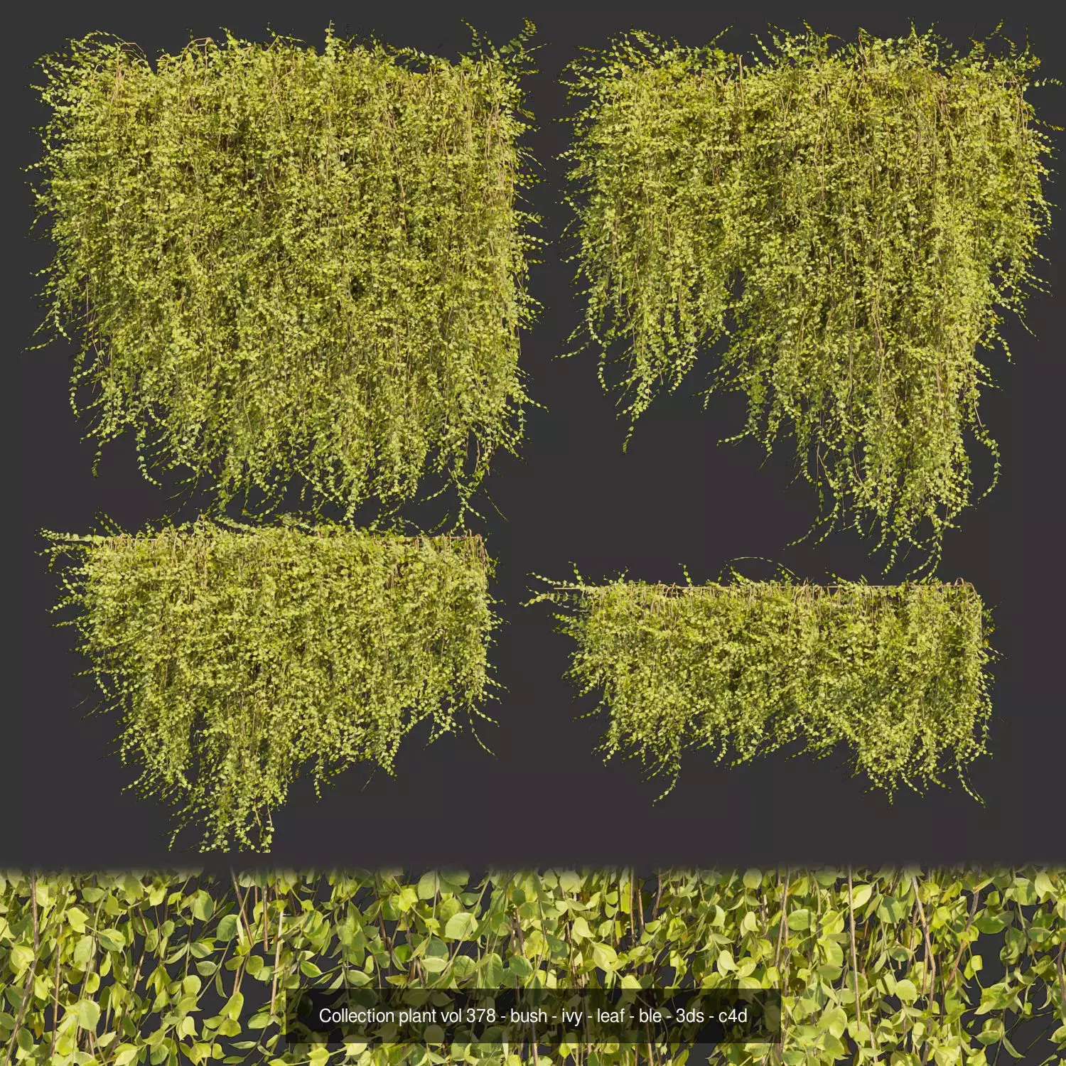 81 Asset Creeper Plants - Ivy Bundle 3D Model Collection_10