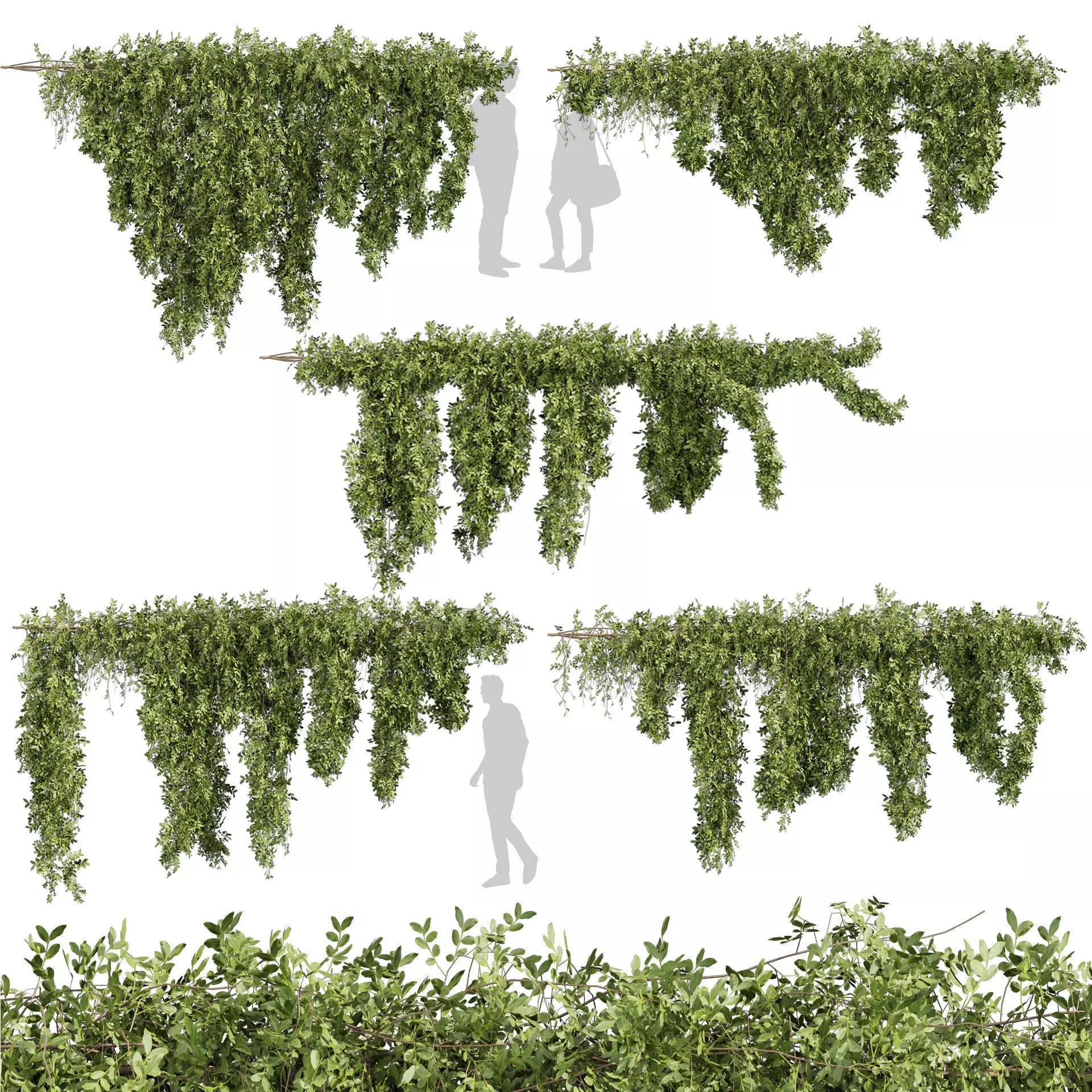 81 Asset Creeper Plants - Ivy Bundle 3D Model Collection_37