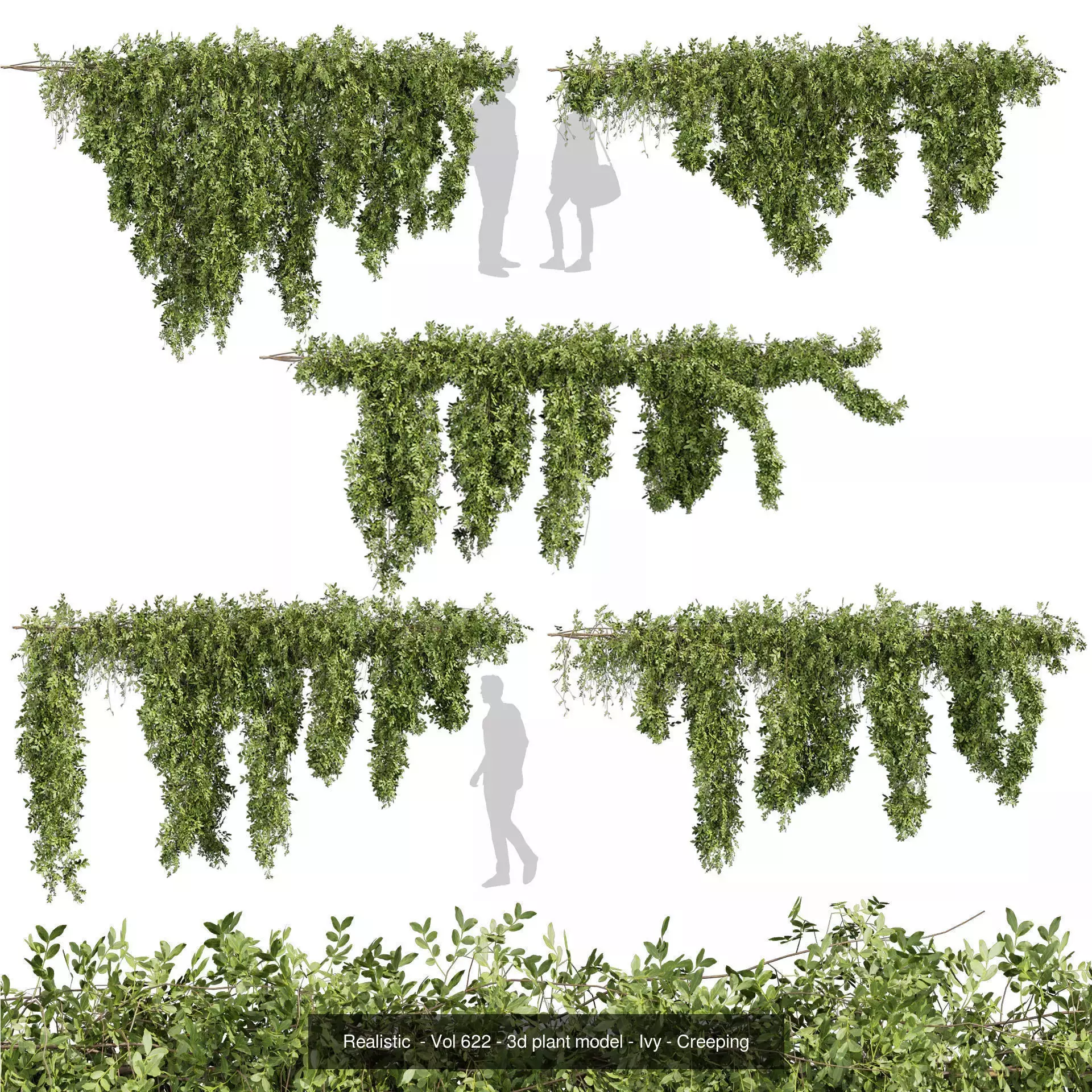 81 Asset Creeper Plants - Ivy Bundle 3D Model Collection_38