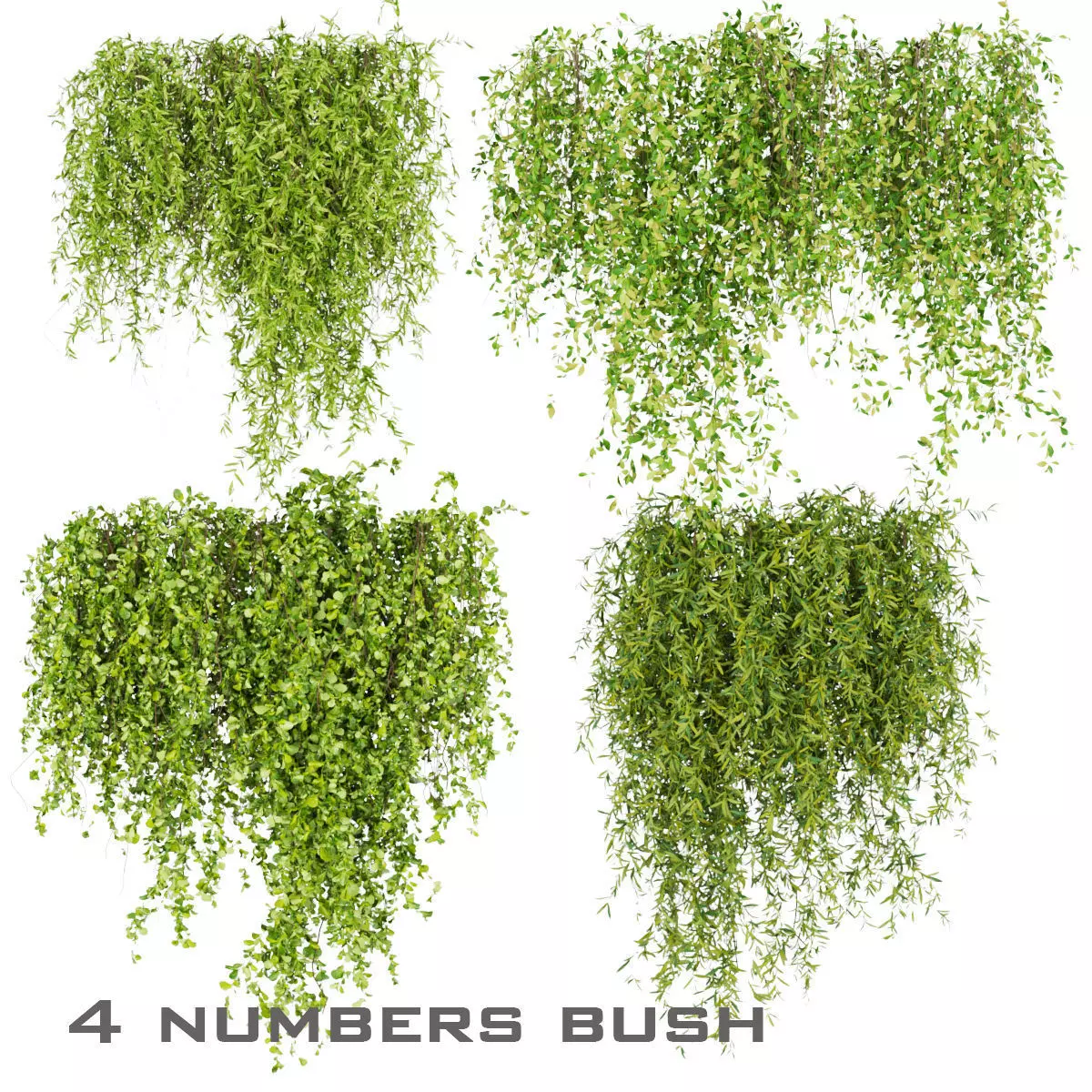 81 Asset Creeper Plants - Ivy Bundle 3D Model Collection_25