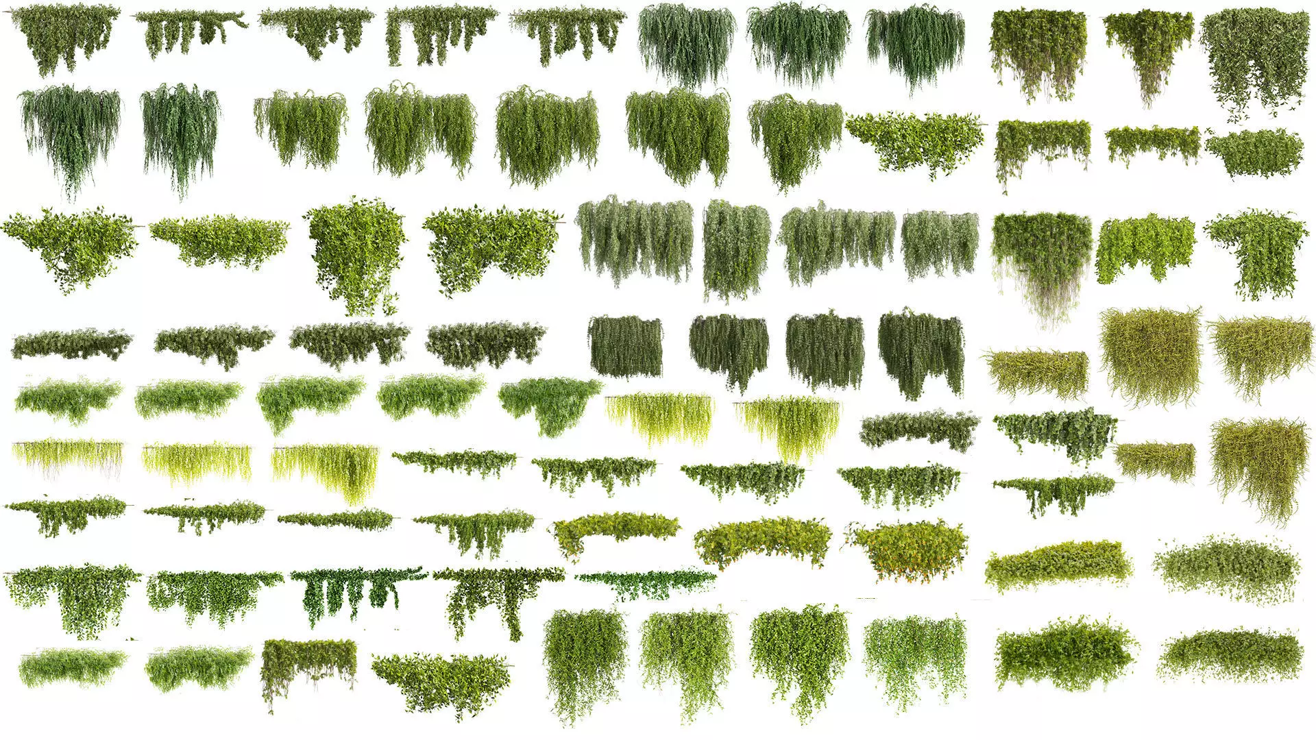 81 Asset Creeper Plants - Ivy Bundle 3D Model Collection_0