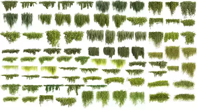 81 Asset Creeper Plants - Ivy Bundle 3D Model Collection 81 Asset Creeper Plants - Ivy Bundle 3D Model Collection