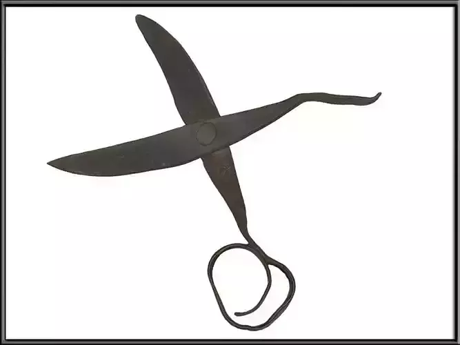 Vintage Hand Forged Scissors