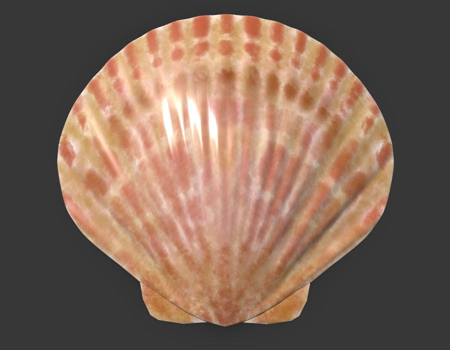 Sea Shell PBR Free 3D model_1