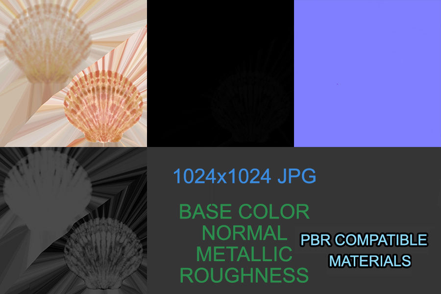 Sea Shell PBR Free 3D model_3