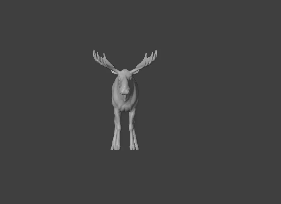 Photorealistic Male Moose Low-poly 3D model_17
