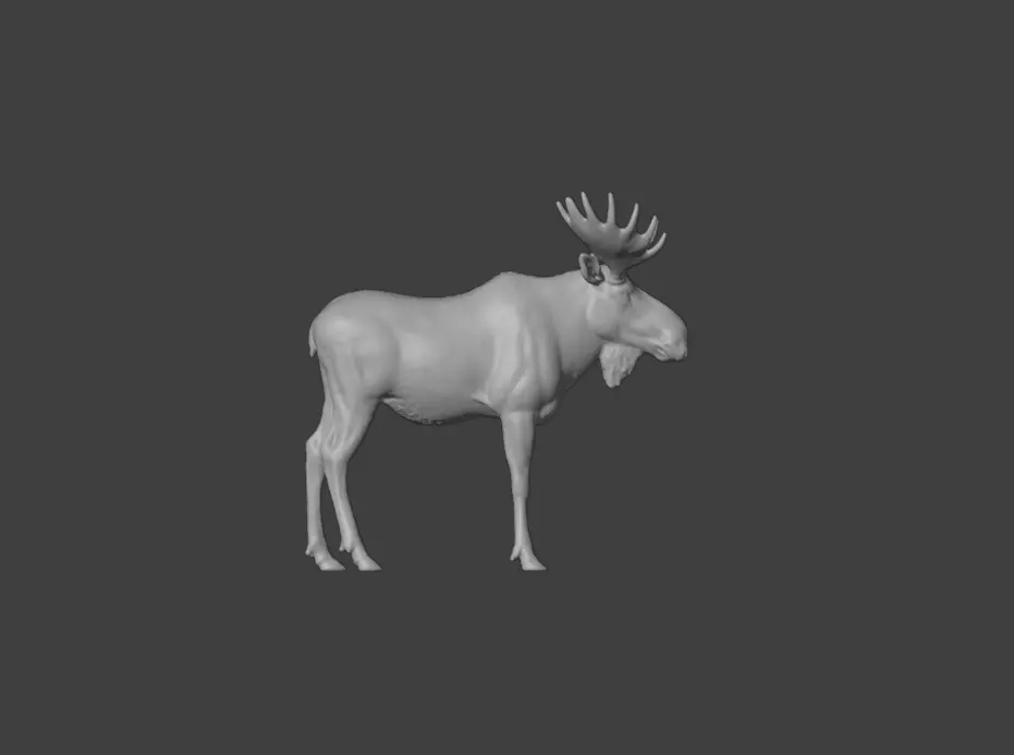 Photorealistic Male Moose Low-poly 3D model_18