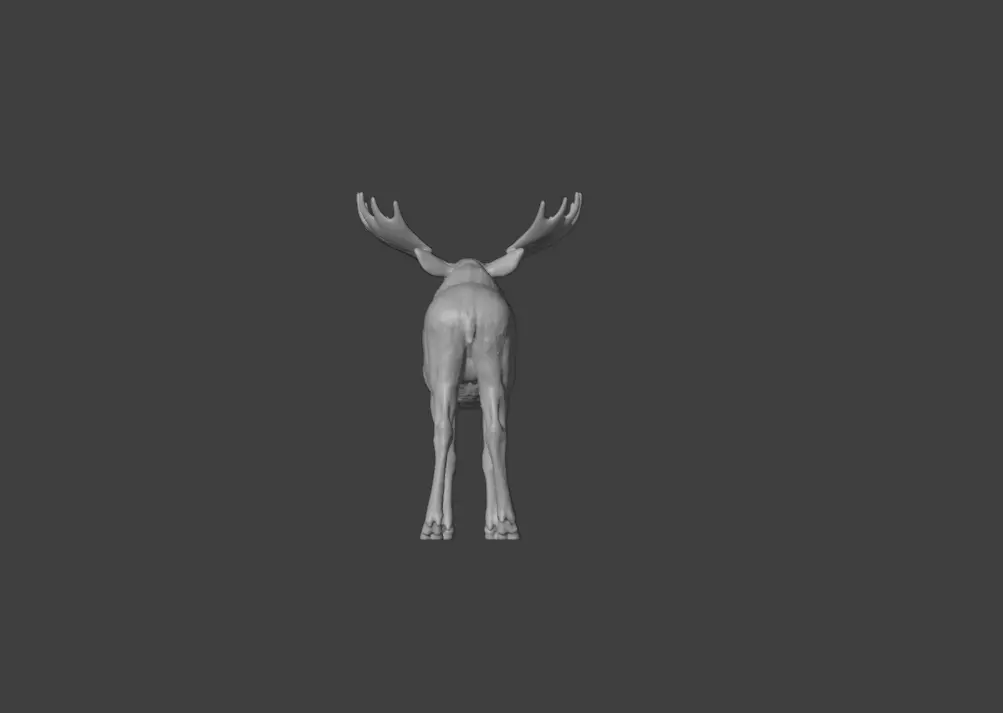 Photorealistic Male Moose Low-poly 3D model_19