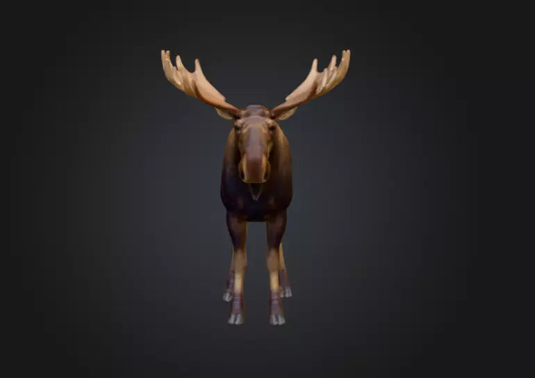Photorealistic Male Moose Low-poly 3D model_1