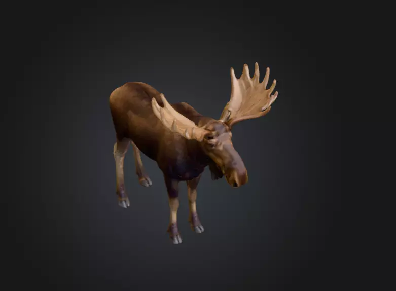 Photorealistic Male Moose Low-poly 3D model_10