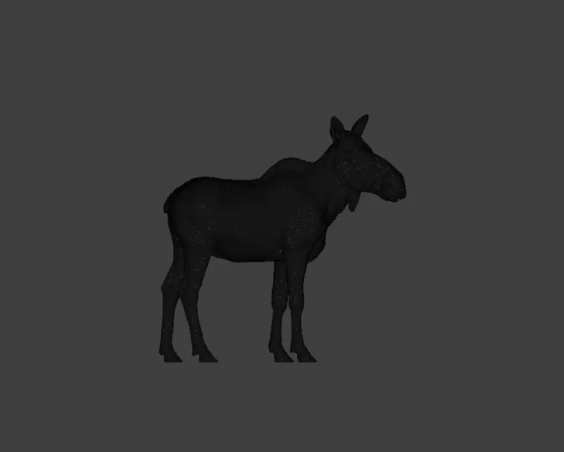 Photorealistic Female Moose Low-poly 3D model_24