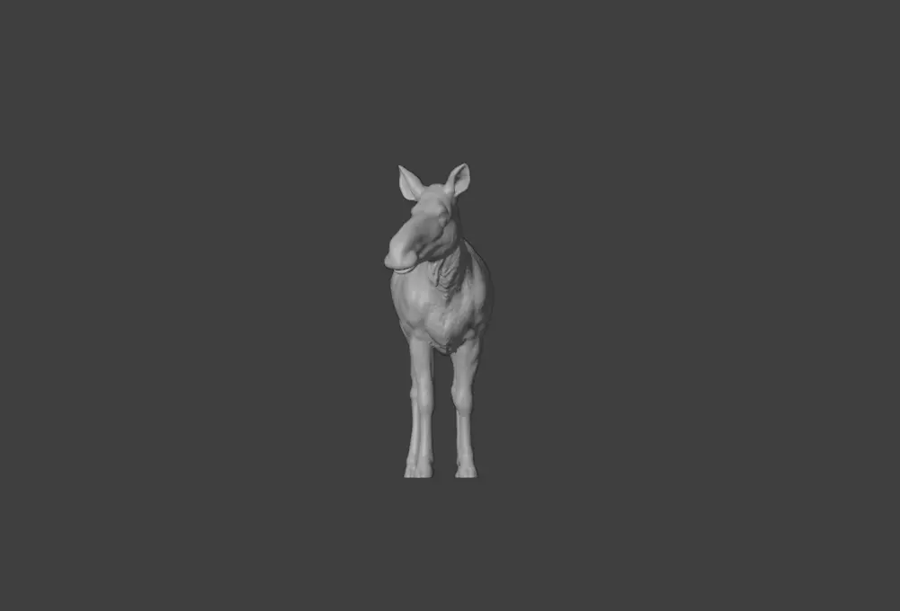 Photorealistic Female Moose Low-poly 3D model_17