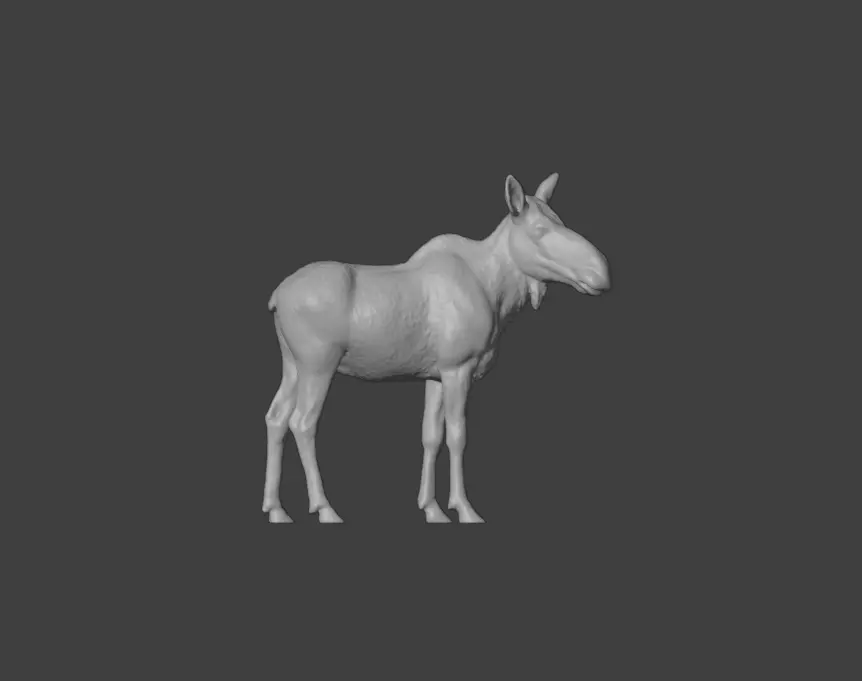 Photorealistic Female Moose Low-poly 3D model_18
