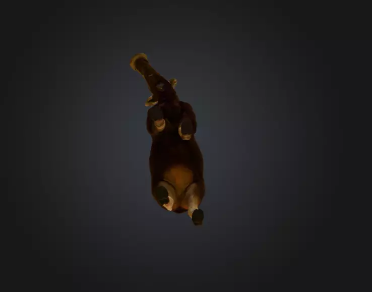 Photorealistic Female Moose Low-poly 3D model_16