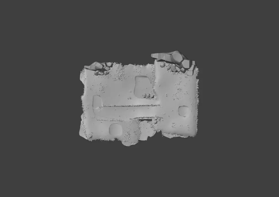 Pathway Meadows Texture_21