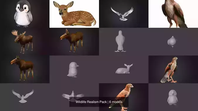 Wildlife Realism Pack 3D Model Collection Wildlife Realism Pack 3D Model Collection