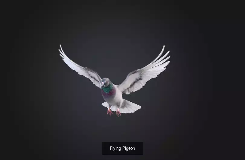 Wildlife Realism Pack 3D Model Collection_3