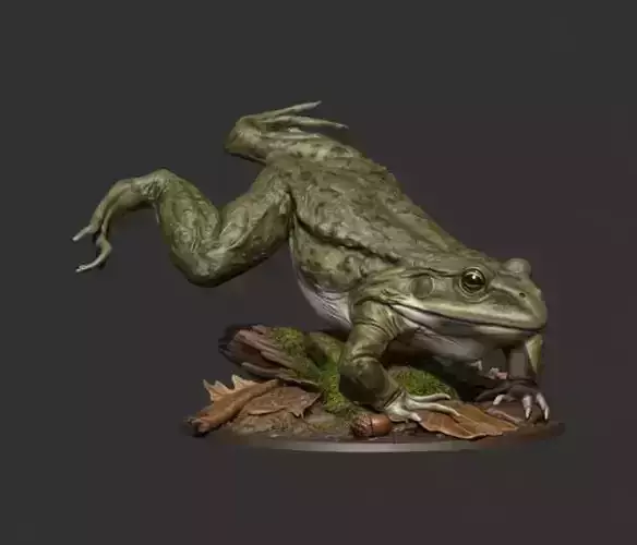 Frog 3D Model
