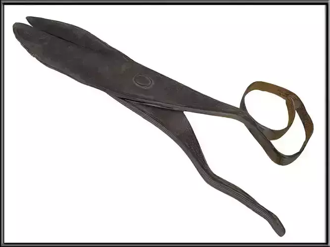 Vintage Hand Forged Sissors 02