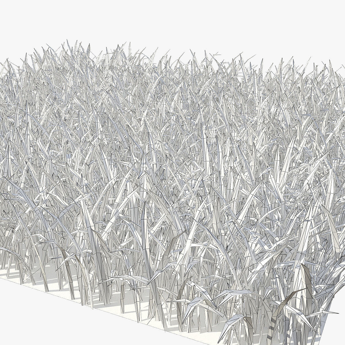 Grass 15cm 3D model_4