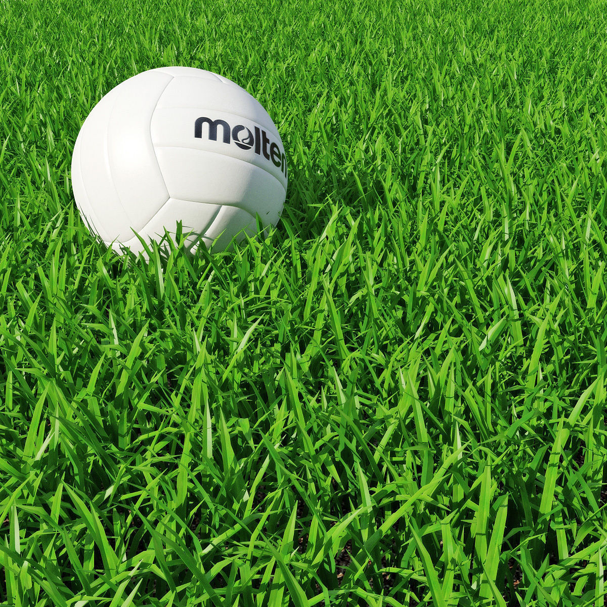 Grass 15cm 3D model_5
