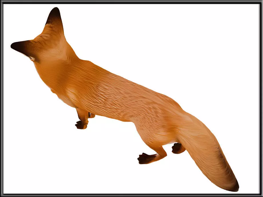 RED FOX Low-poly 3D model_2