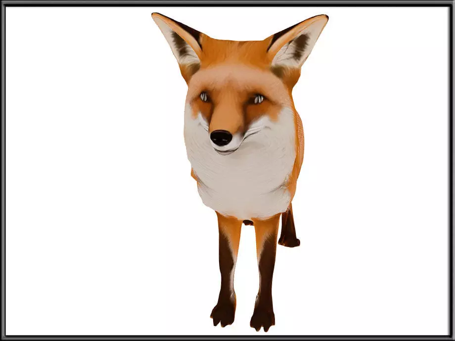 RED FOX Low-poly 3D model_1