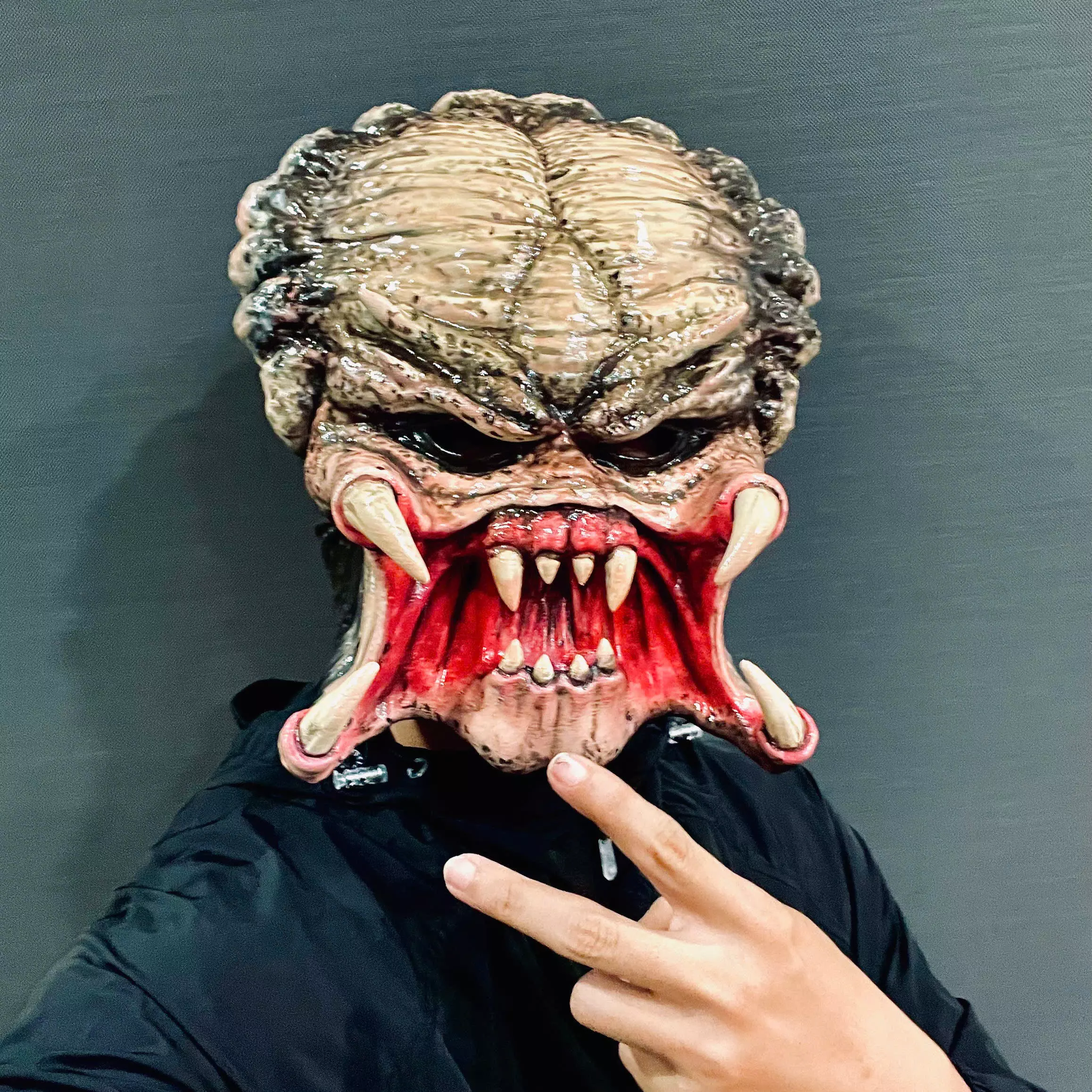 The Predator Mask Decor Wearable - Halloween cosplay 3D print model_1