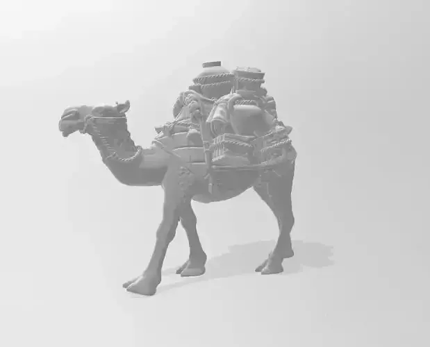 camello dromedario con equipaje