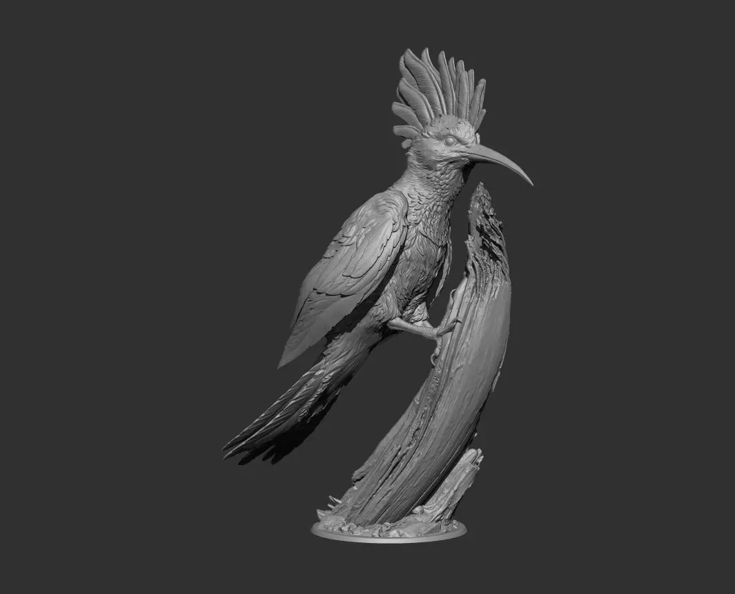 Hoopoe Bird 3D print model