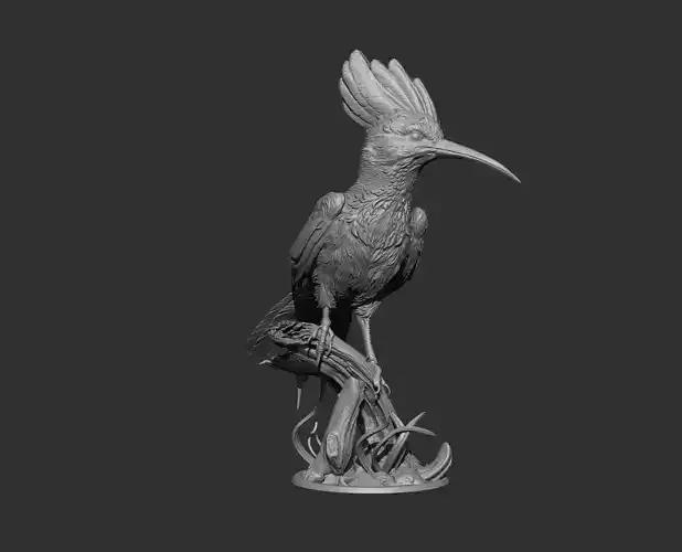 Hoopoe Bird 3d print