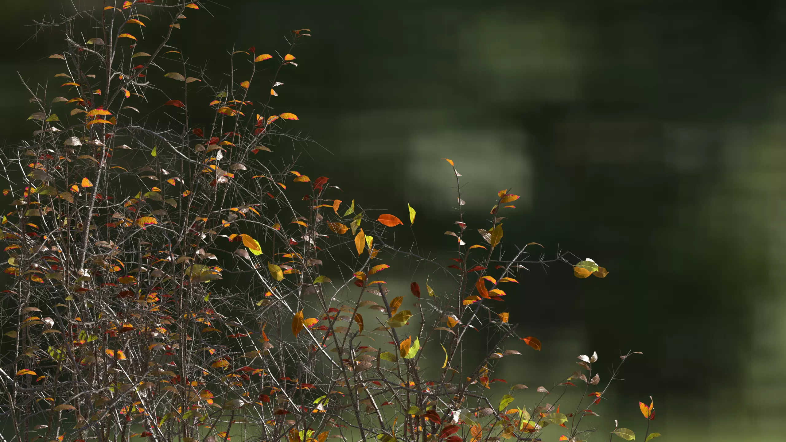 High quality Cherry Tree 01 Winter 3D model